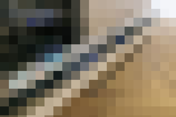  / #15