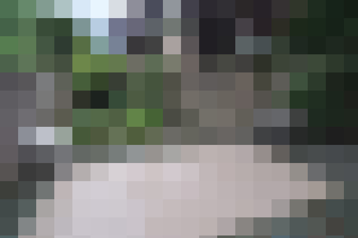  / #20