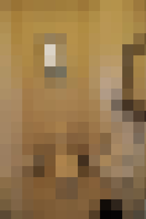  / #11