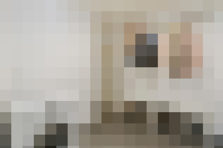  / #20
