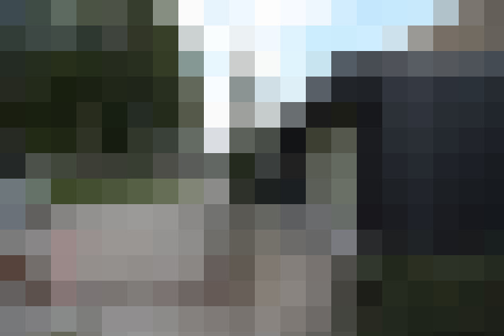  / #61
