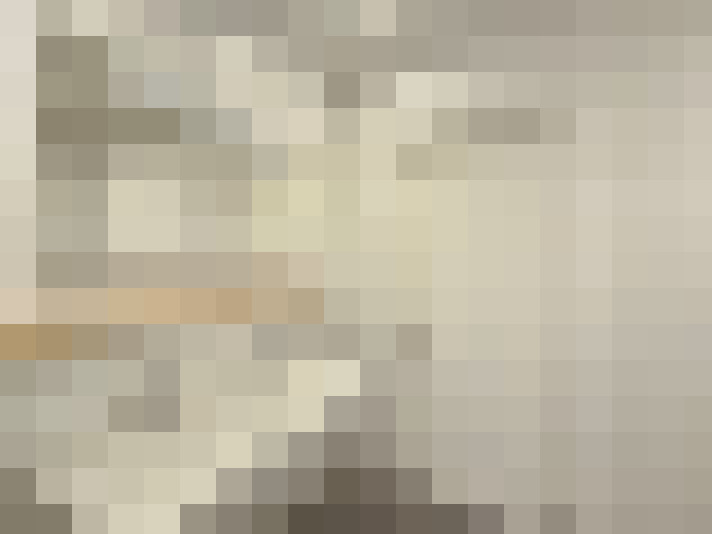  / #20