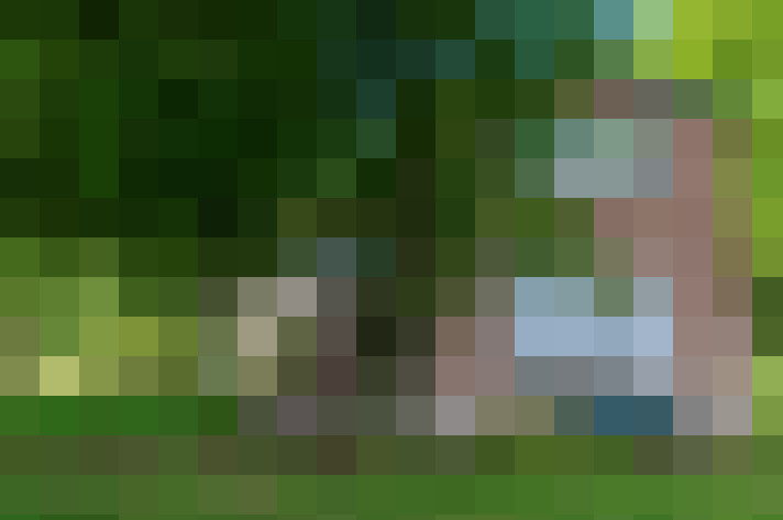  / #21