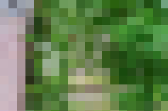  / #20