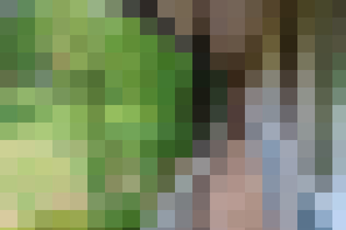  / #17