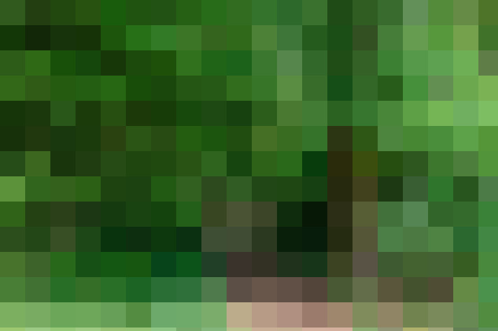  / #23