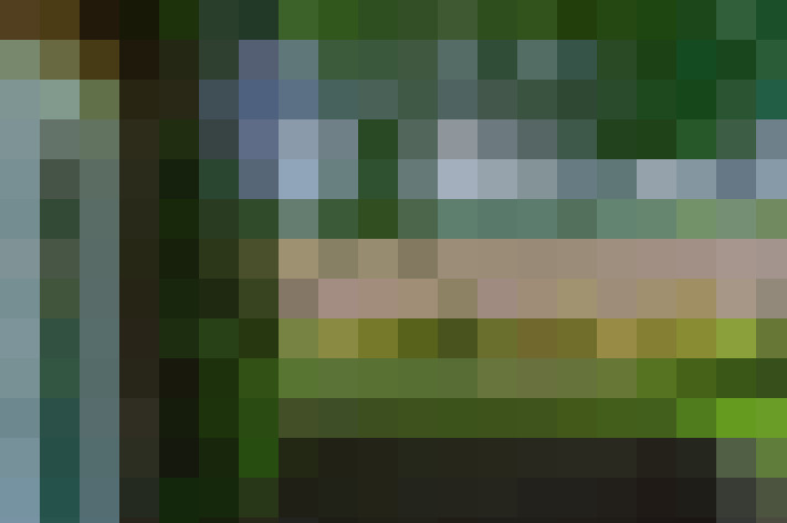  / #19