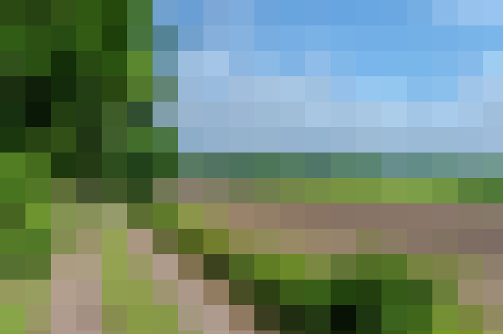  / #31