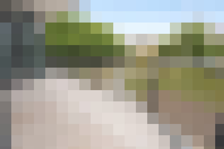  / #19