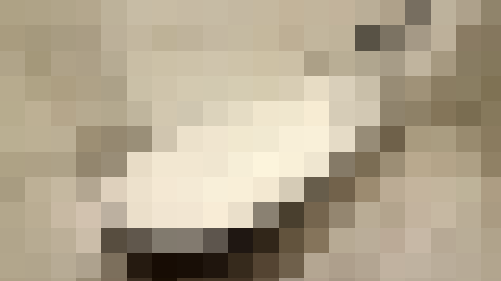 / #19