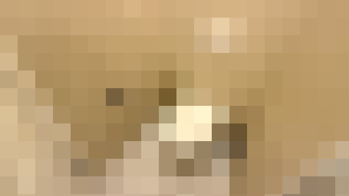  / #21