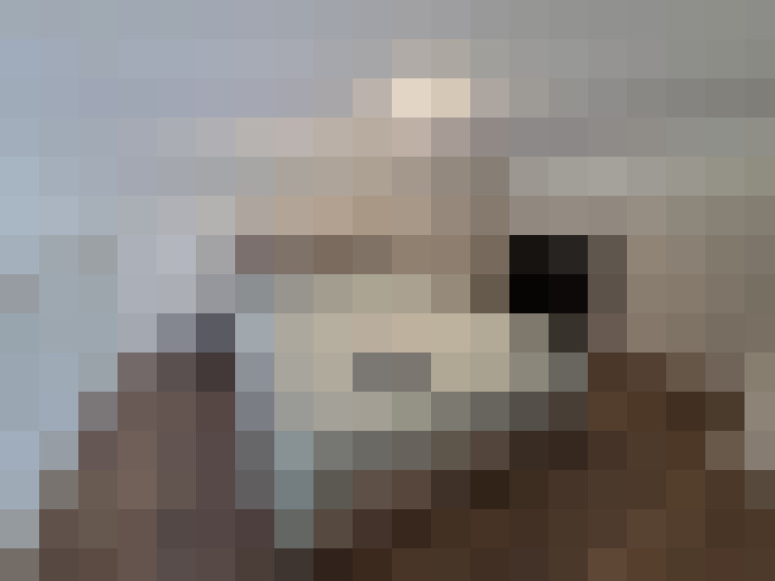  / #13