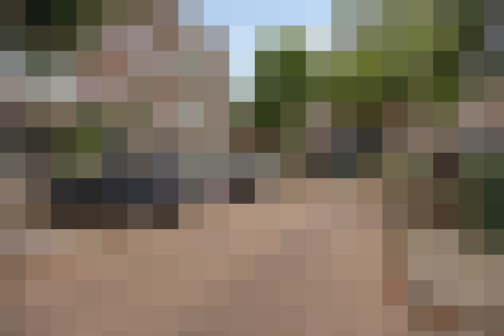  / #52