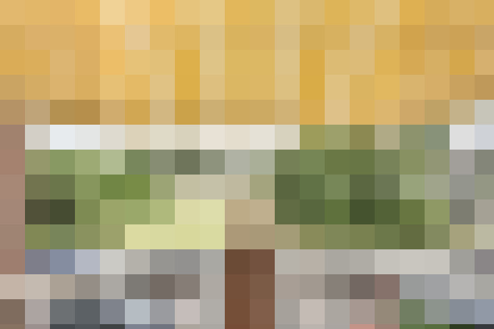  / #14