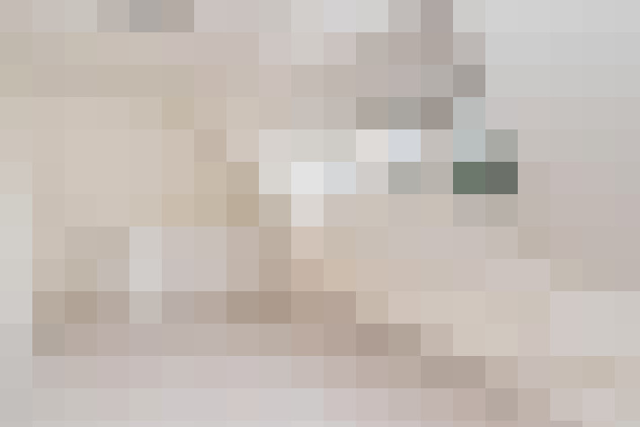  / #24