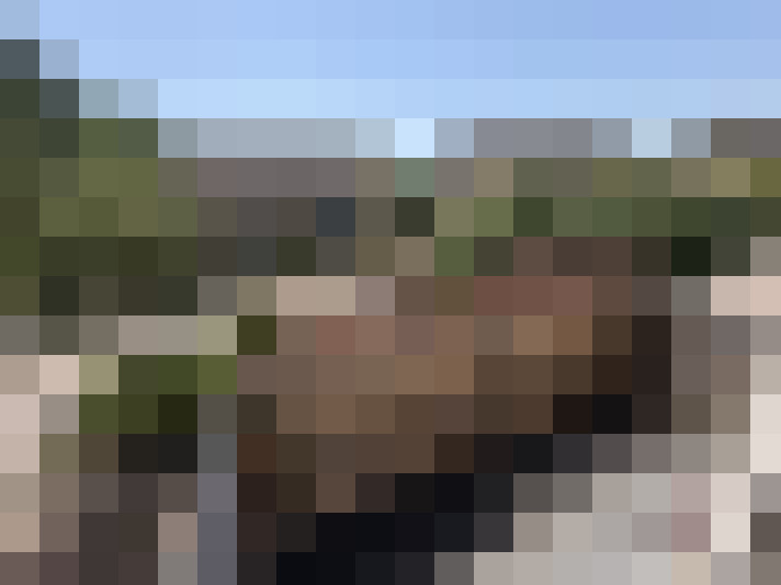  / #15