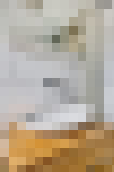  / #16