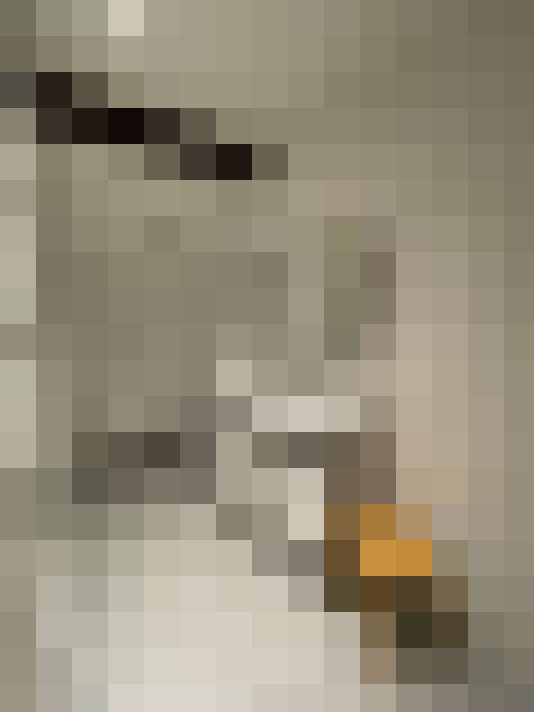  / #11