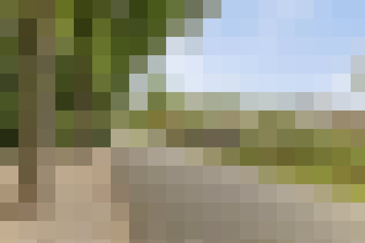  / #18