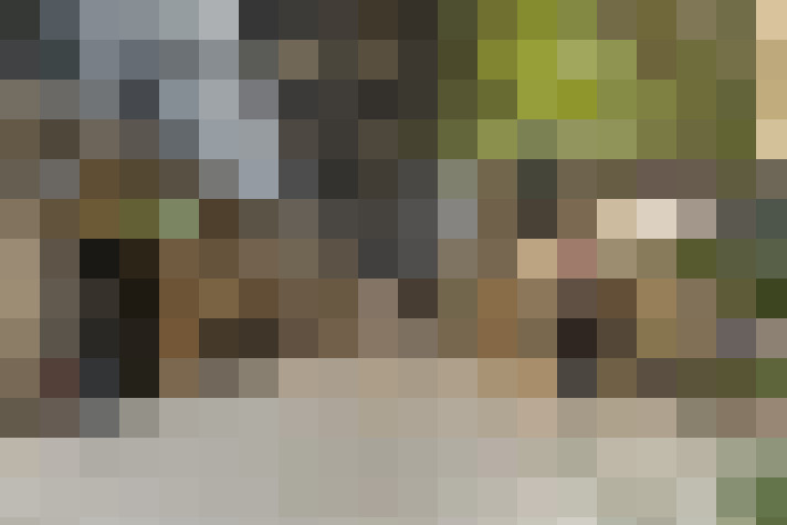  / #17