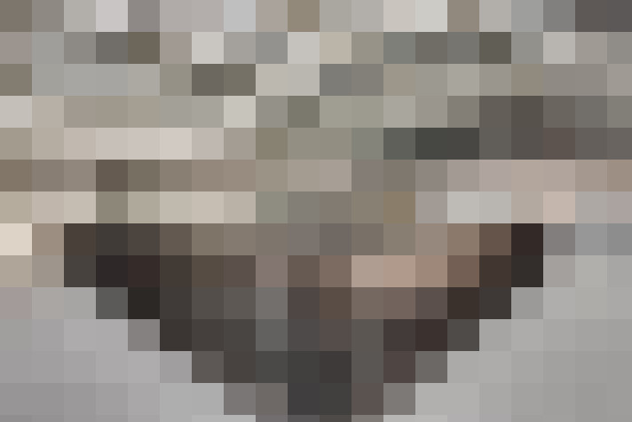  / #22