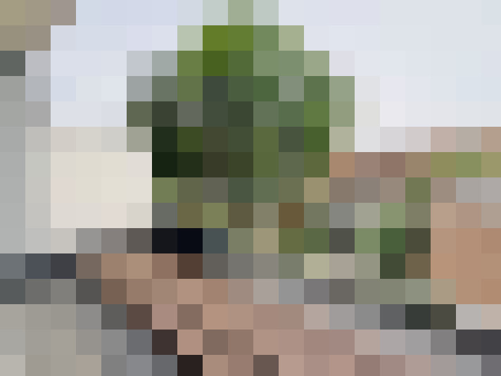  / #12