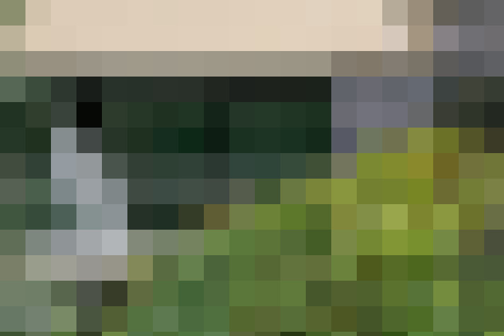  / #21