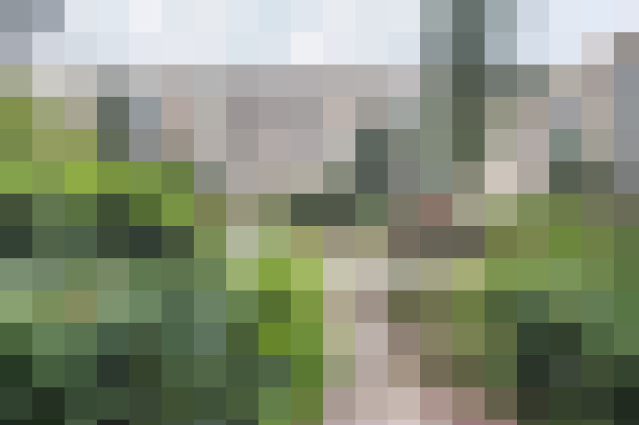  / #16
