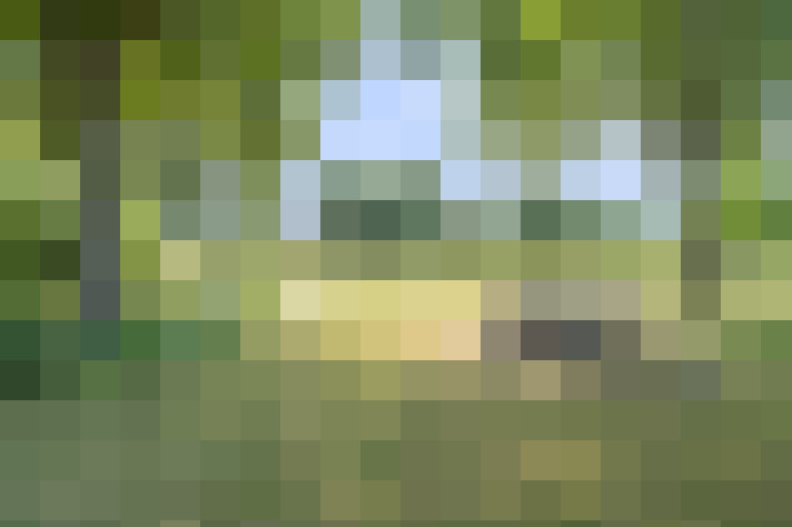  / #86