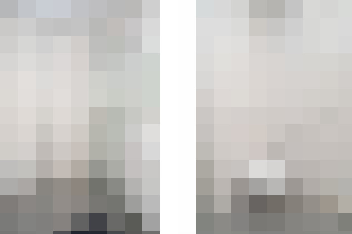  / #61