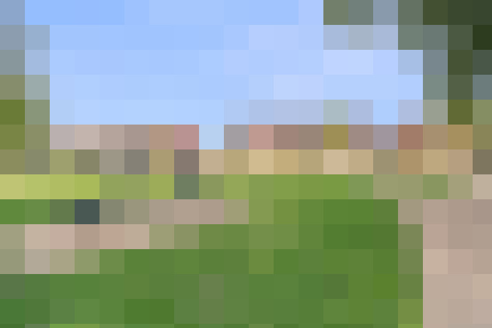  / #83