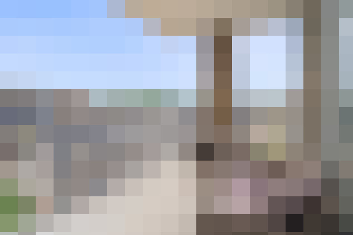  / #67