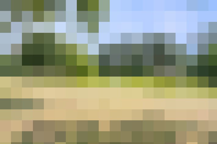  / #81