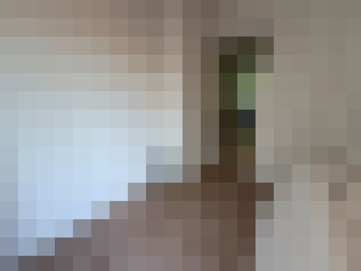  / #14