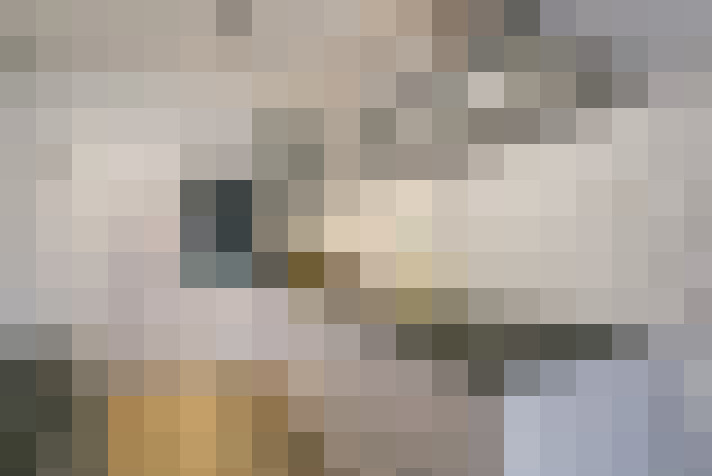  / #7