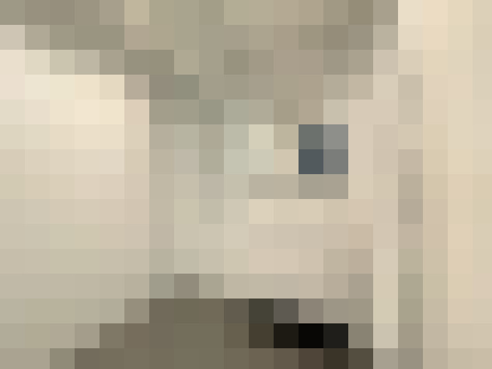  / #14