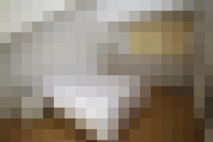 / #22