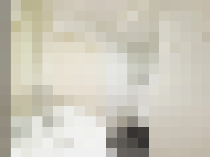  / #15