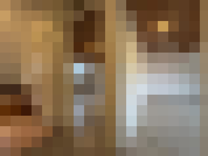  / #19