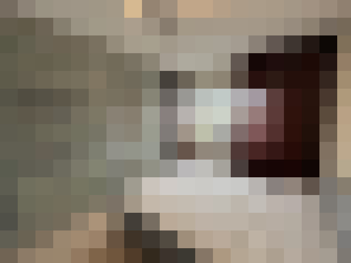  / #23