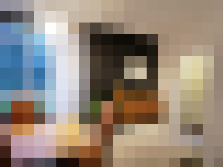  / #13