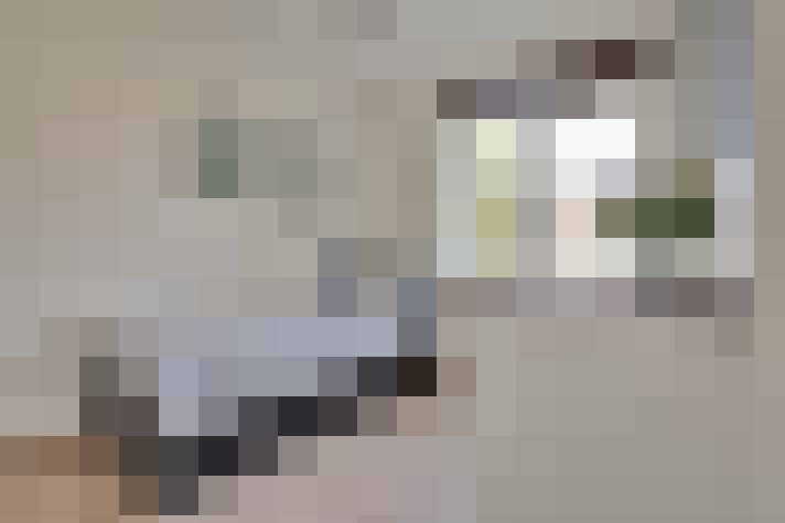  / #17