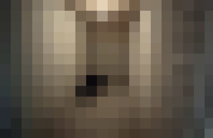  / #25