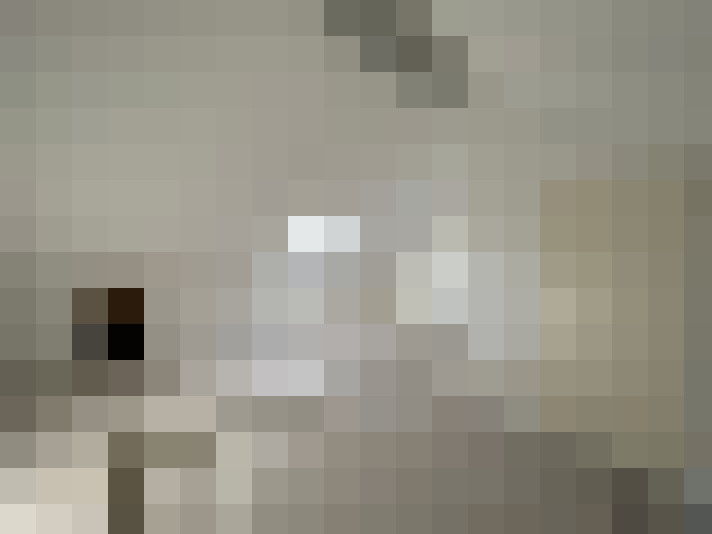  / #12