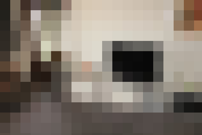  / #14