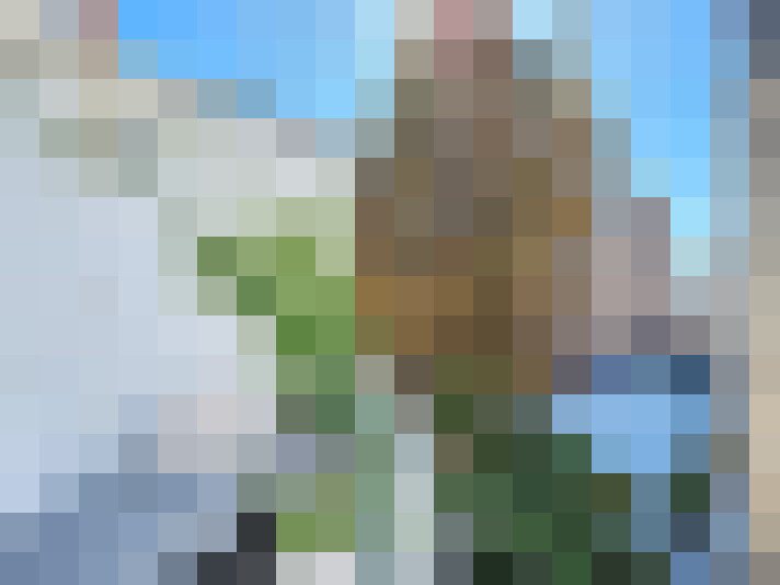  / #7