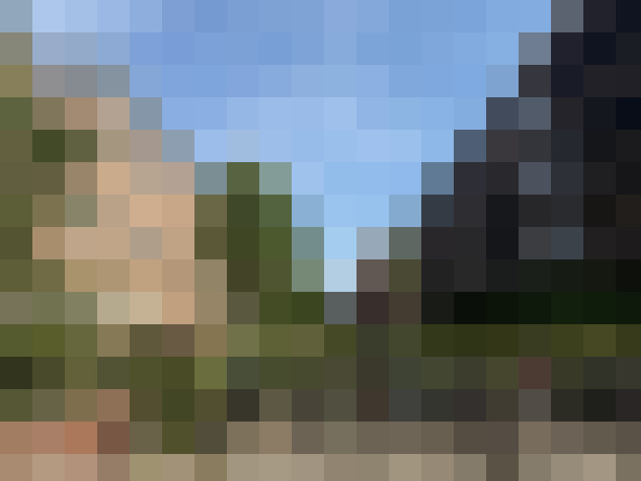  / #15