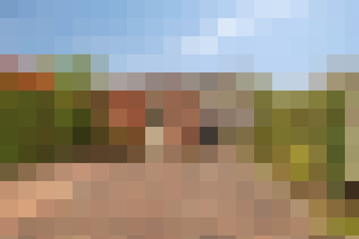  / #12