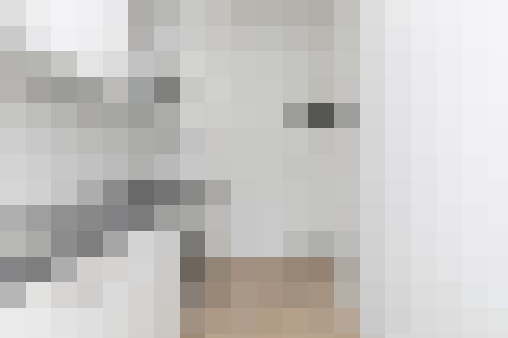  / #16