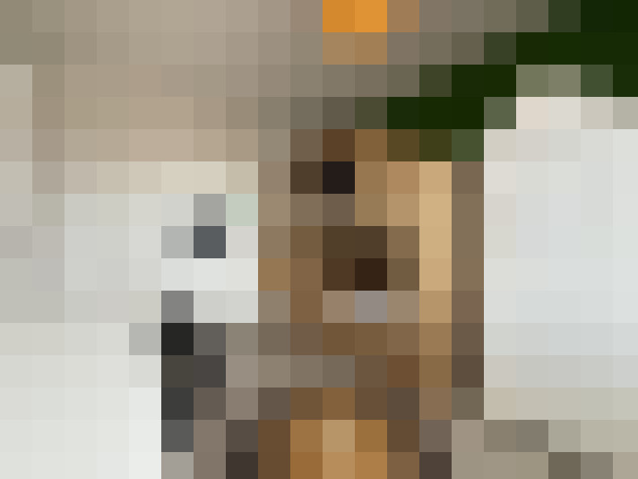  / #15